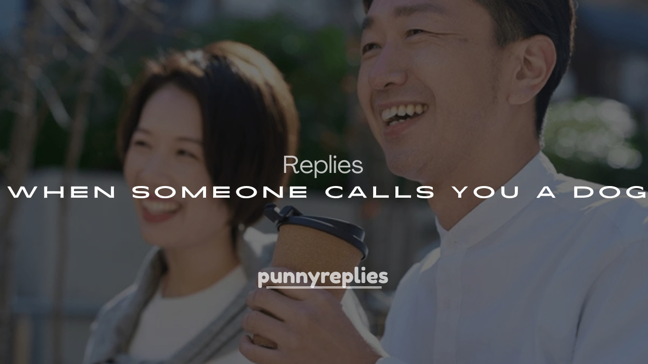 250+ Responses When Someone Calls You a Dog
