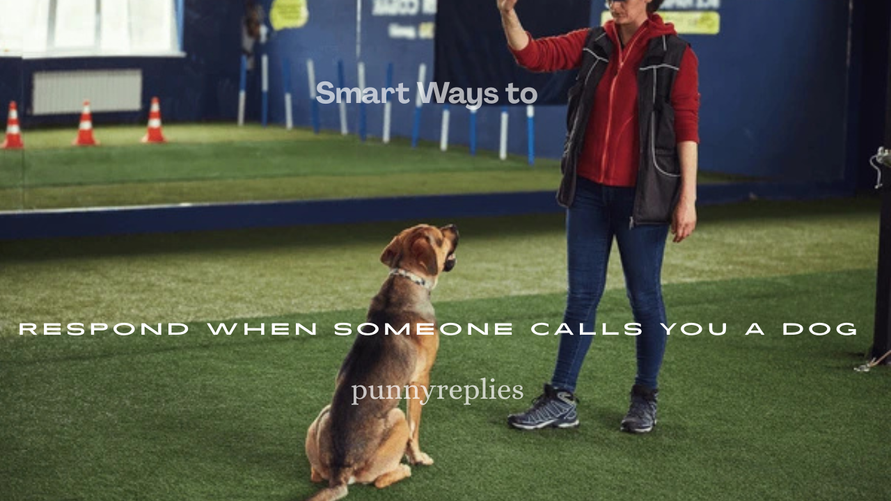 75+ Smart Ways to Respond When Someone Calls You a Dog